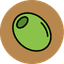 olive.cash logo